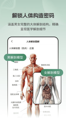 解剖模型Body软件