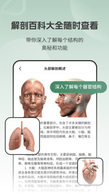 解剖模型Body软件